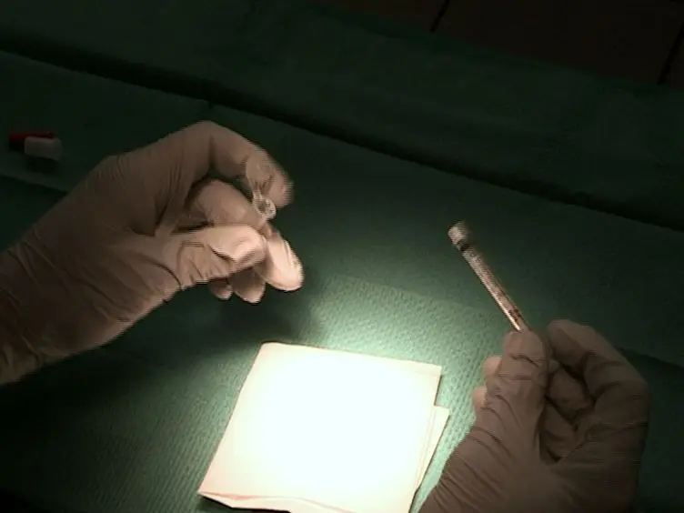 Intralymphatic Immunotherapy and Vaccination in Mice