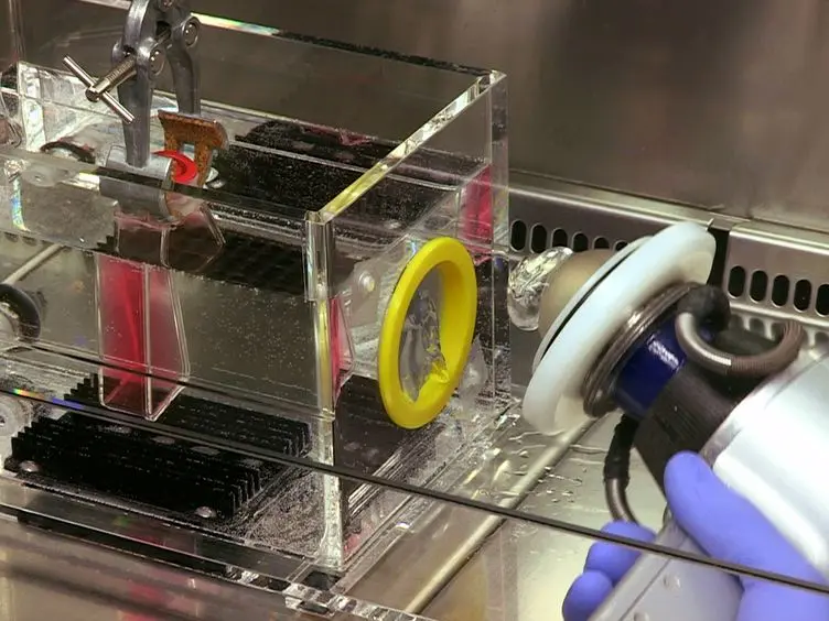 Shock Wave Application to Cell Cultures