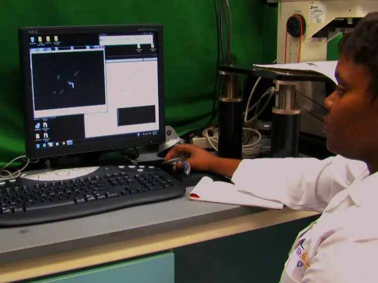 Intravital Video Microscopy Measurements of Retinal Blood Flow in Mice