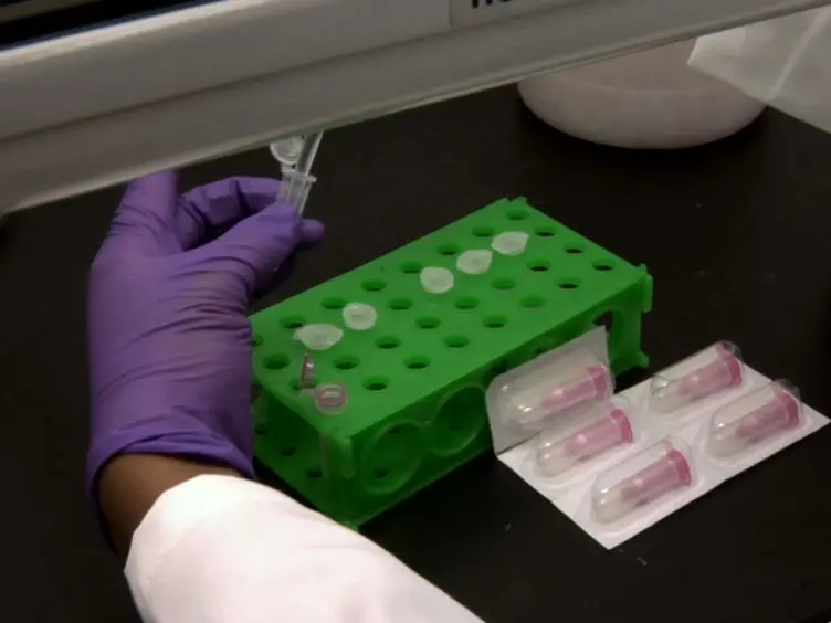 Profiling of Estrogen-regulated MicroRNAs in Breast Cancer Cells