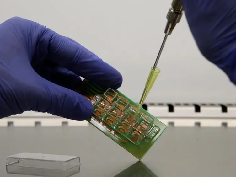 Electric Cell-substrate Impedance Sensing for the Quantification of Endothelial Proliferation, Barrier Function, and Motility