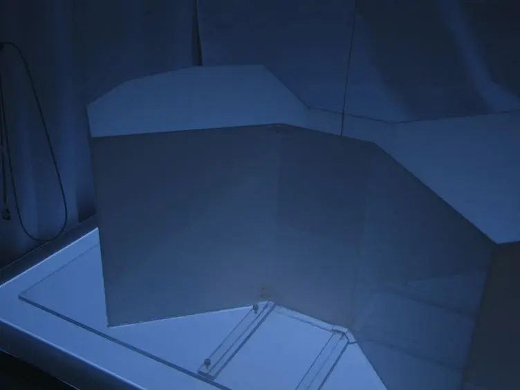 Automated Visual Cognitive Tasks for Recording Neural Activity Using a Floor Projection Maze