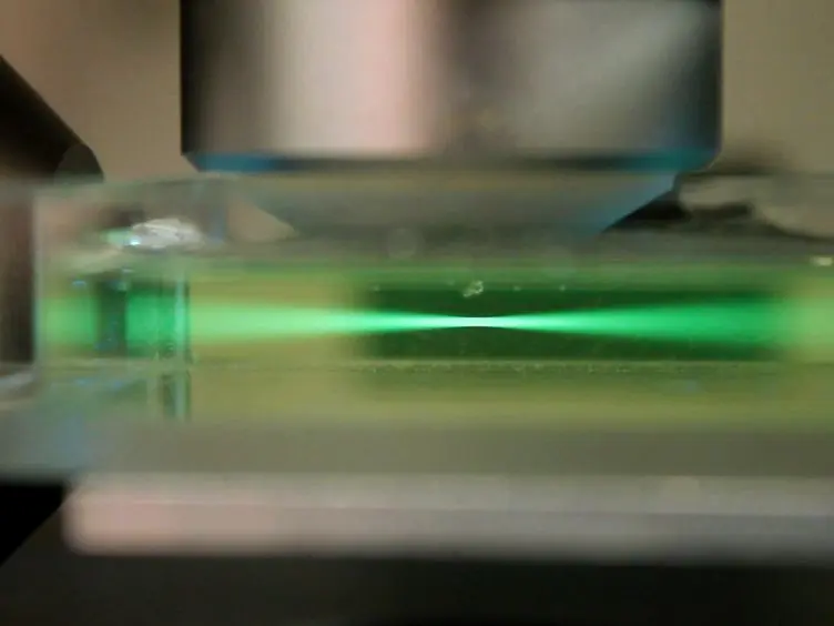Setting Up a Simple Light Sheet Microscope for <em>In Toto</em> Imaging of <em>C. elegans</em> Development