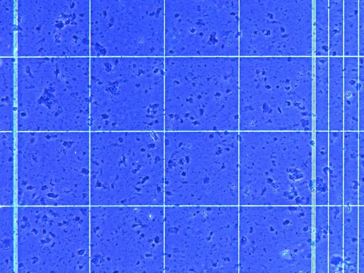 Glycopeptide Capture for Cell Surface Proteomics