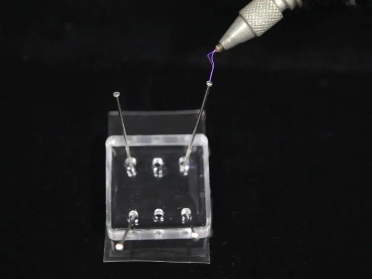 Preparation of Neuronal Co-cultures with Single Cell Precision