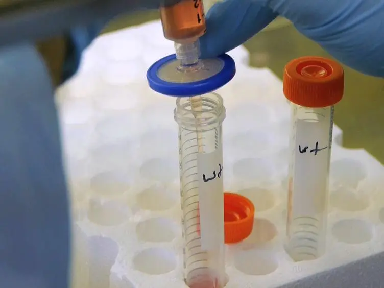 Rapid Screening of HIV Reverse Transcriptase and Integrase Inhibitors