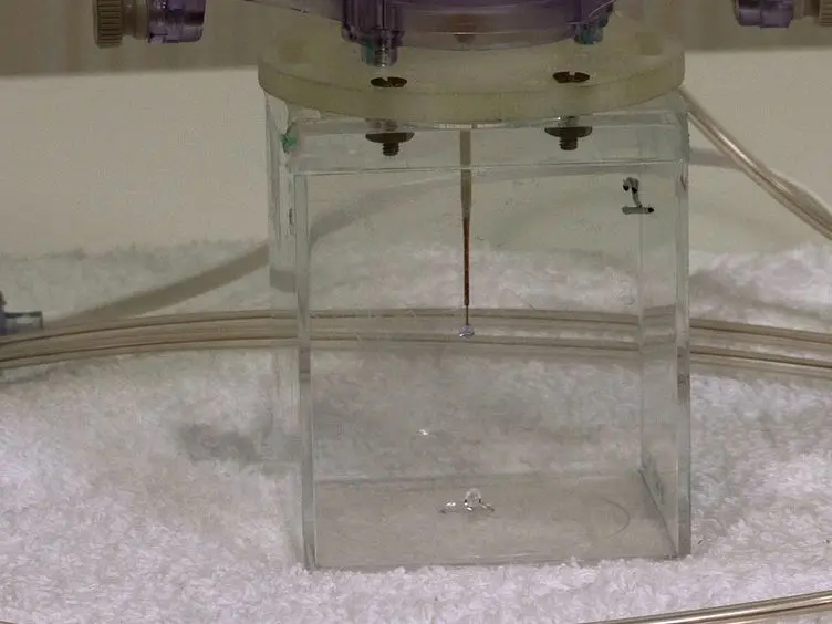 Image-guided Convection-enhanced Delivery into Agarose Gel Models of the Brain