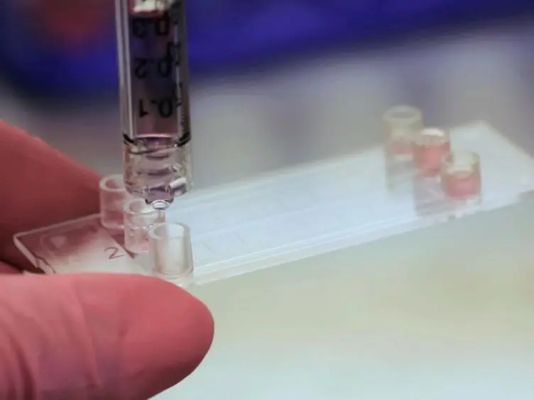 <em>In vitro</em> Method to Observe E-selectin-mediated Interactions Between Prostate Circulating Tumor Cells Derived From Patients and Human Endothelial Cells