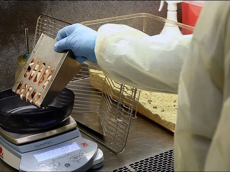 Fat Preference: A Novel Model of Eating Behavior in Rats