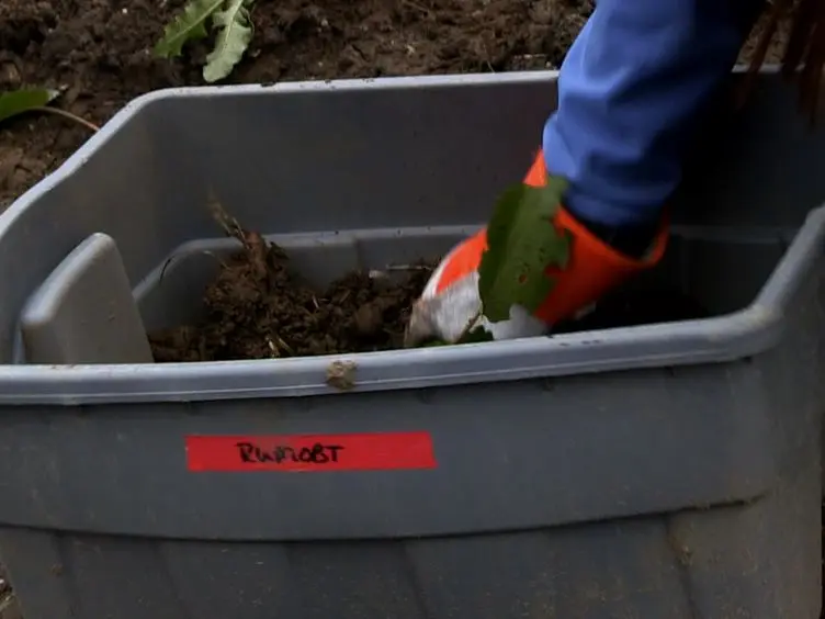 Experimental Protocol for Manipulating Plant-induced Soil Heterogeneity