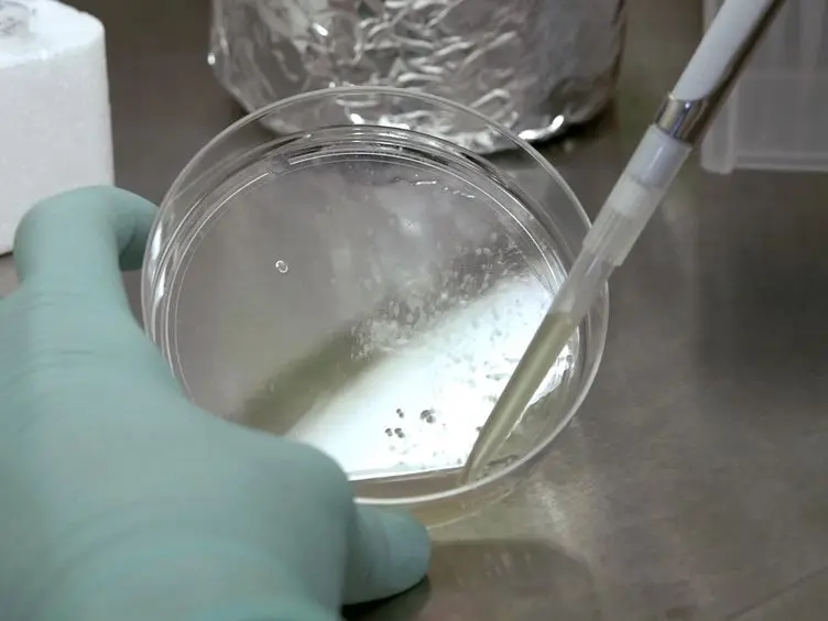 Feeder-free Derivation of Neural Crest Progenitor Cells from Human Pluripotent Stem Cells