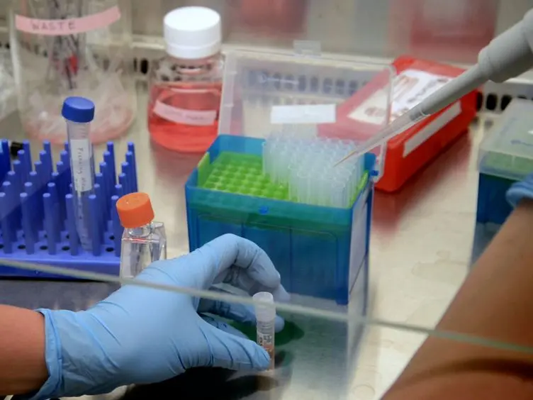 Using Fluorescent Proteins to Monitor Glycosome Dynamics in the African Trypanosome