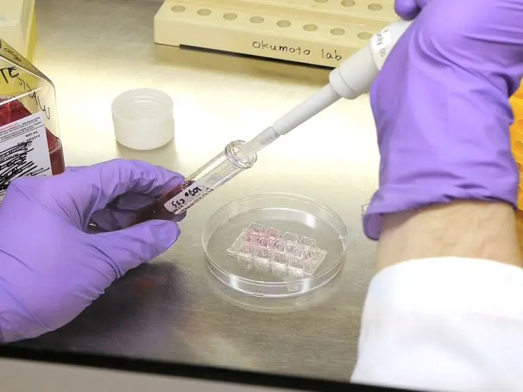 Glutamine Flux Imaging Using Genetically Encoded Sensors