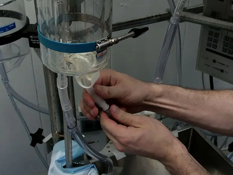 An Isolated Working Heart System for Large Animal Models
