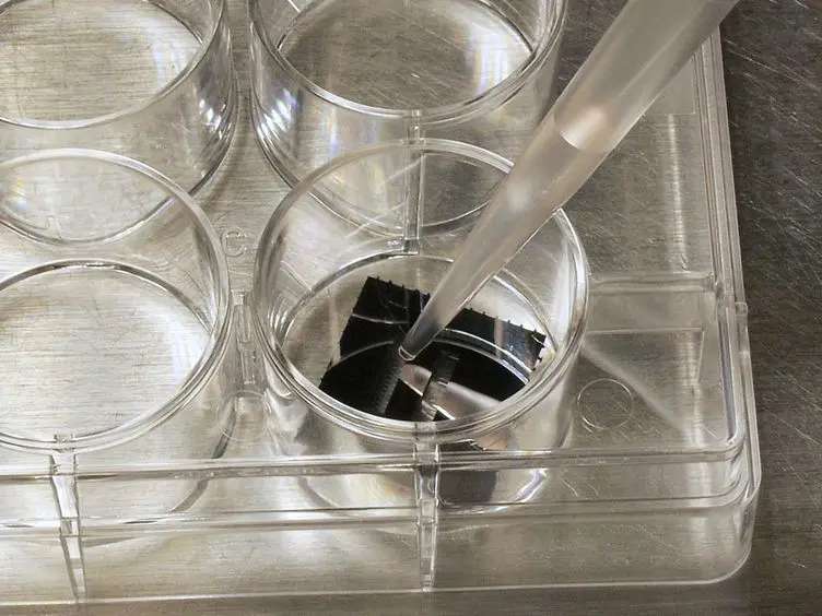Utilization of Microscale Silicon Cantilevers to Assess Cellular Contractile Function <em>In Vitro</em>