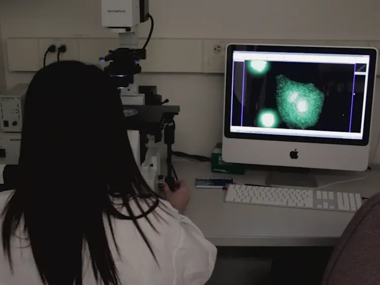 An <em>In Vitro</em> Model for the Study of Cellular Pathophysiology in Globoid Cell Leukodystrophy