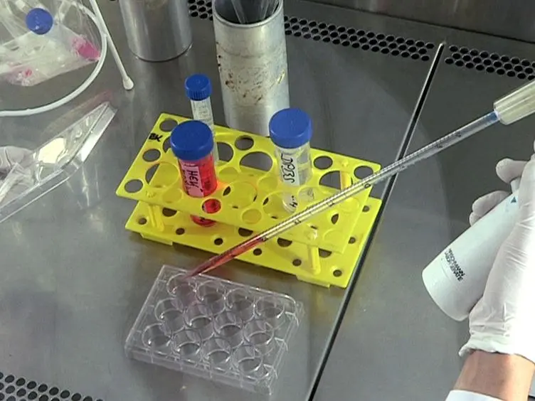 <em>In Vitro</em> Synthesis of Modified mRNA for Induction of Protein Expression in Human Cells