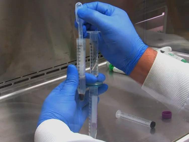 Propagation of <em>Homalodisca coagulata virus-01</em> via <em>Homalodisca vitripennis</em> Cell Culture