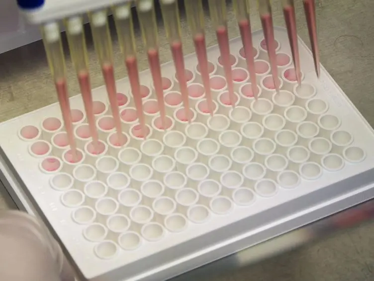 Conformational Evaluation of HIV-1 Trimeric Envelope Glycoproteins Using a Cell-based ELISA Assay