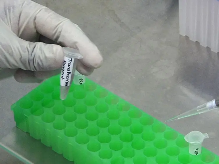 <em>In vitro </em>Methylation Assay to Study Protein Arginine Methylation