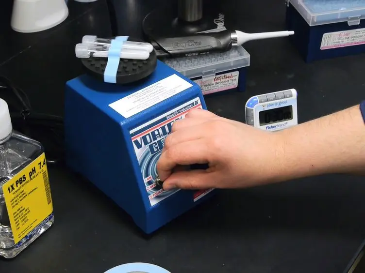 Measuring Local Anaphylaxis in Mice