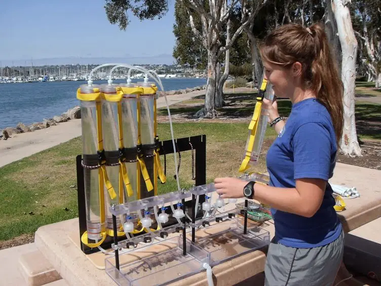Unraveling the Unseen Players in the Ocean - A Field Guide to Water Chemistry and Marine Microbiology