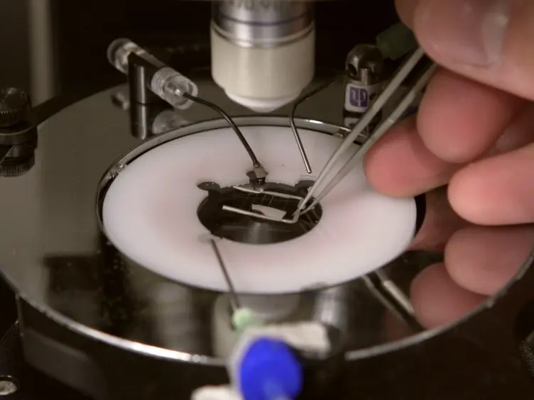 Real-time Electrophysiology: Using Closed-loop Protocols to Probe Neuronal Dynamics and Beyond
