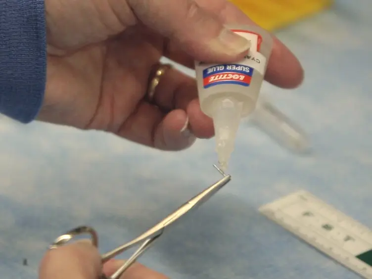 A Simple Critical-sized Femoral Defect Model in Mice