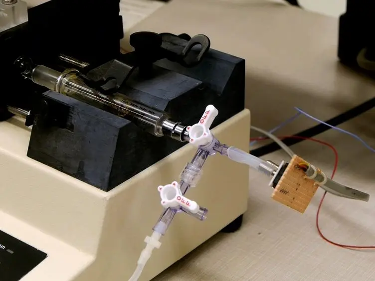 Measurement of the Pressure-volume Curve in Mouse Lungs