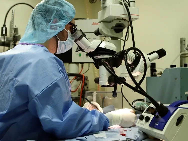 Rat Heterotopic Abdominal Heart/Single-lung Transplantation in a Volume-loaded Configuration