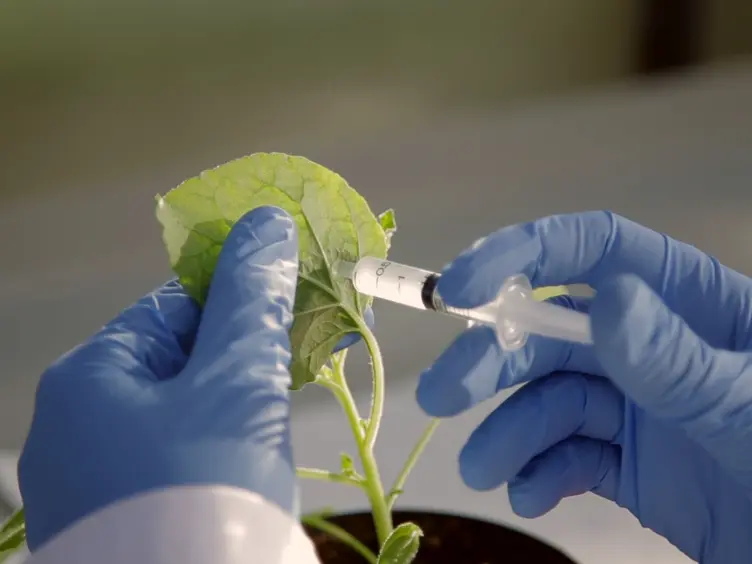 A Comparative Analysis of Recombinant Protein Expression in Different Biofactories: Bacteria, Insect Cells and Plant Systems