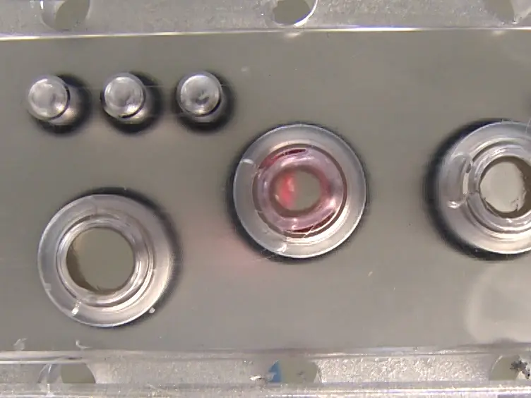 The Multi-organ Chip - A Microfluidic Platform for Long-term Multi-tissue Coculture