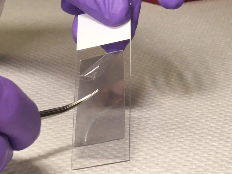 Enhanced Genetic Analysis of Single Human Bioparticles Recovered by Simplified Micromanipulation from Forensic &#8216;Touch DNA&#8217; Evidence