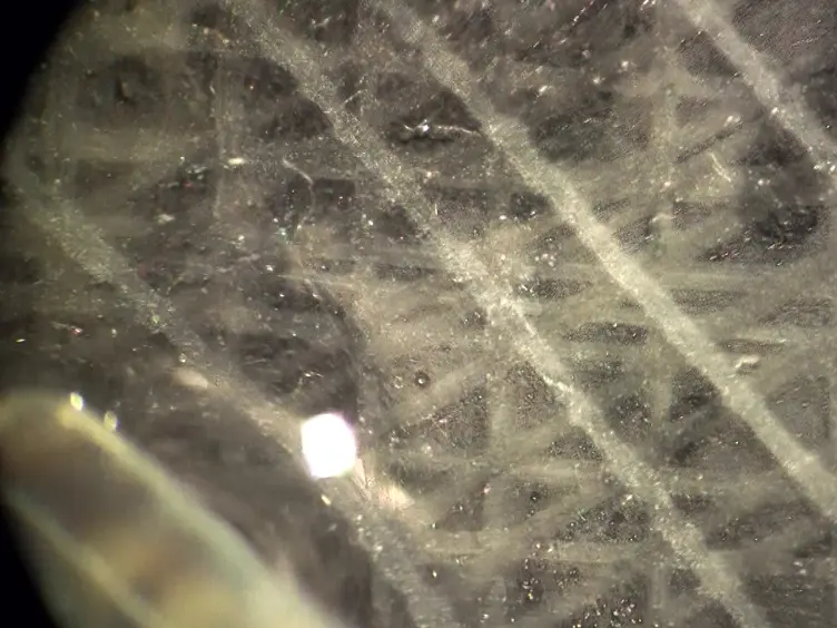 <em>Xenopus laevis</em> as a Model to Identify Translation Impairment