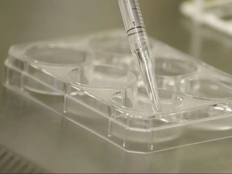 Neural Differentiation of Mouse Embryonic Stem Cells in Serum-free Monolayer Culture