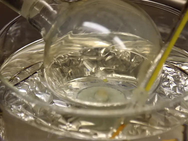 Chemical Vapor Deposition of an Organic Magnet, Vanadium Tetracyanoethylene