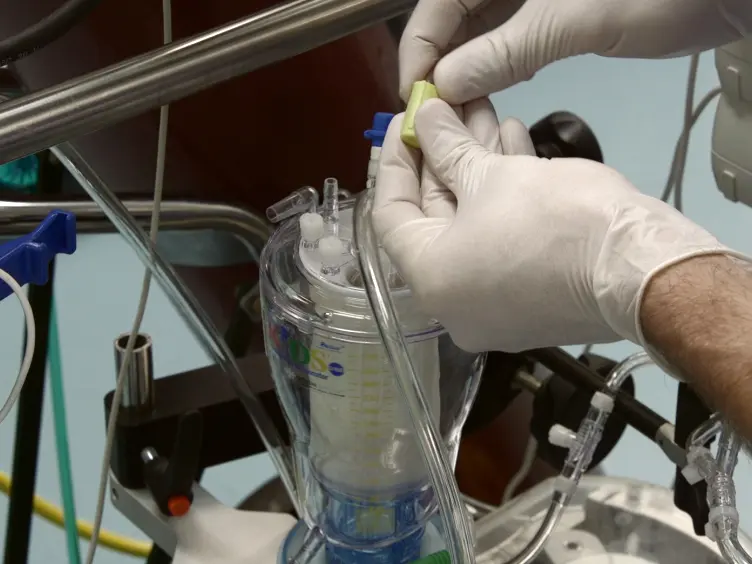 Normothermic <em>Ex Vivo</em> Kidney Perfusion for the Preservation of Kidney Grafts prior to Transplantation