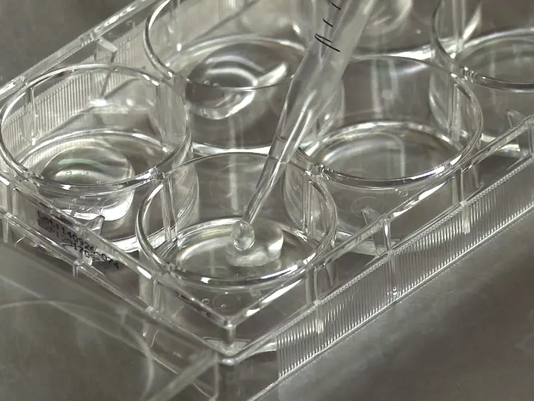 A Simplified System for Evaluating Cell Mechanosensing and Durotaxis <em>In Vitro</em>