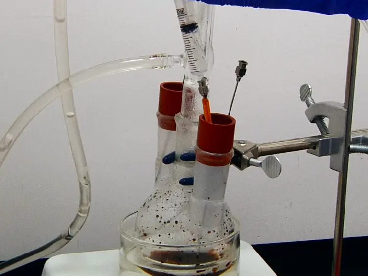 Fabrication of a Functionalized Magnetic Bacterial Nanocellulose with Iron Oxide Nanoparticles