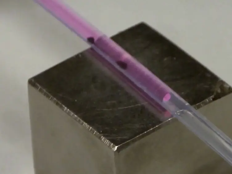 Phase Diagram Characterization Using Magnetic Beads as Liquid Carriers
