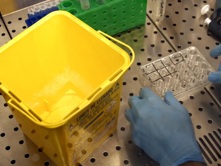 T Cells Capture Bacteria by Transinfection from Dendritic Cells