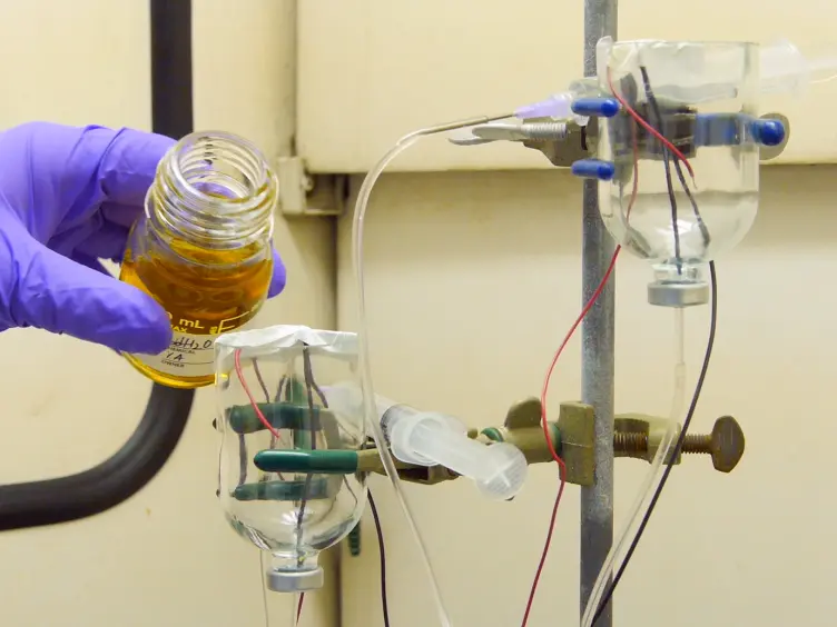 Chemical Gardens as Flow-through Reactors Simulating Natural Hydrothermal Systems