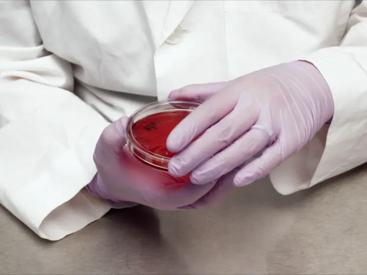 A Reference Broth Microdilution Method for Dalbavancin <em>In Vitro</em> Susceptibility Testing of Bacteria that Grow Aerobically