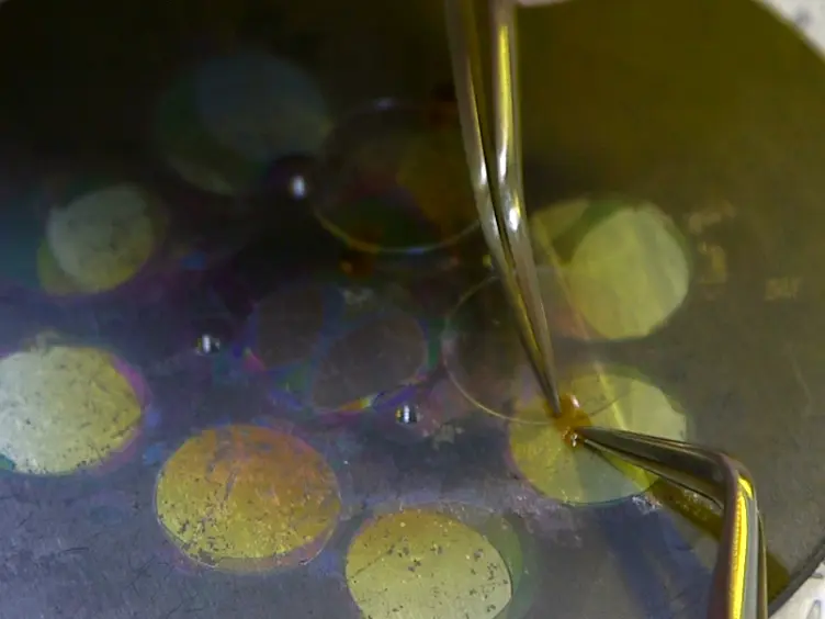 Photopatterning Proteins and Cells in Aqueous Environment Using TiO<sub>2</sub> Photocatalysis