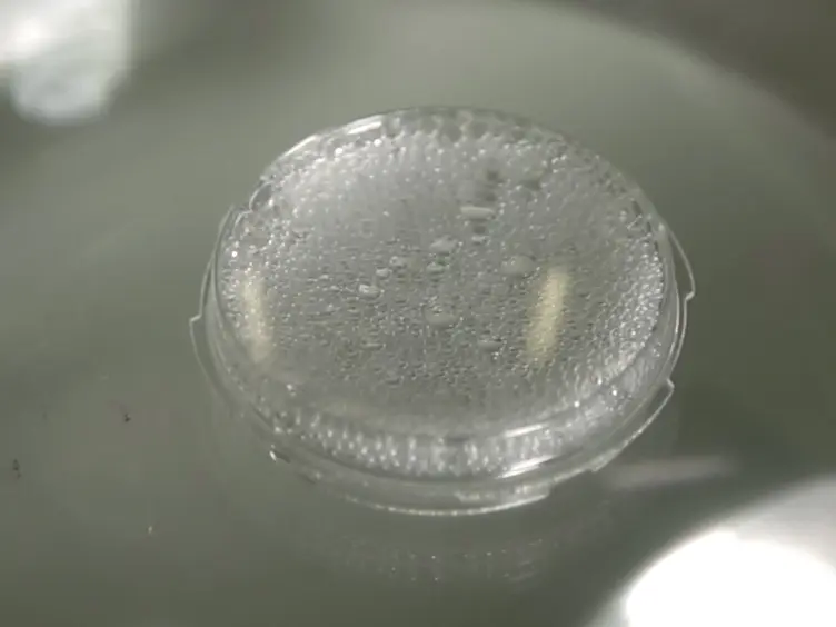 Interfacing 3D Engineered Neuronal Cultures to Micro-Electrode Arrays: An Innovative <em>In Vitro</em> Experimental Model
