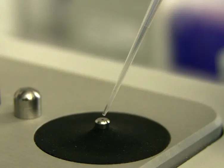 Plasmid-derived DNA Strand Displacement Gates for Implementing Chemical Reaction Networks