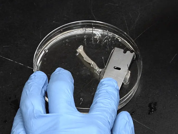 Cryosectioning Method for Microdissection of Murine Colonic Mucosa