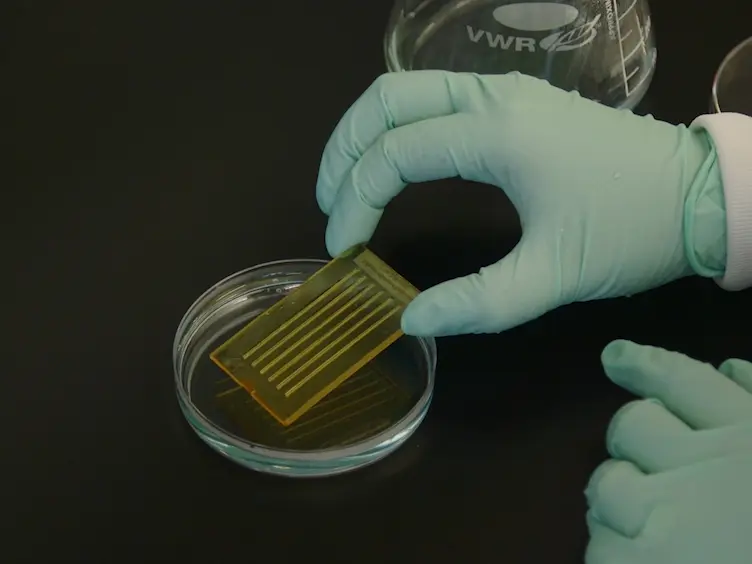 Analysis of Zebrafish Larvae Skeletal Muscle Integrity with Evans Blue Dye