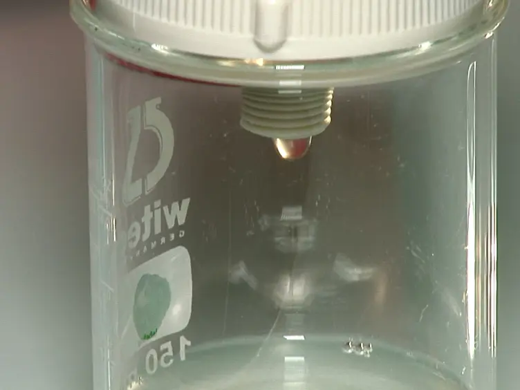 Purification of Mouse Brain Vessels