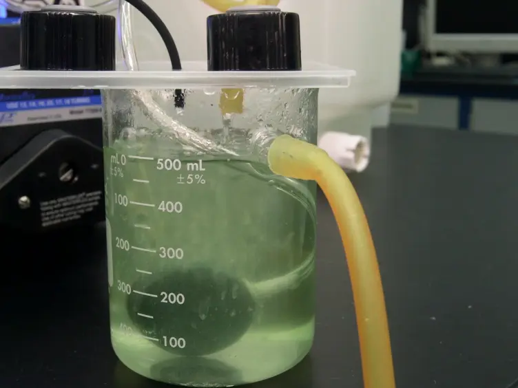 A Novel Bioreactor for High Density Cultivation of Diverse Microbial Communities